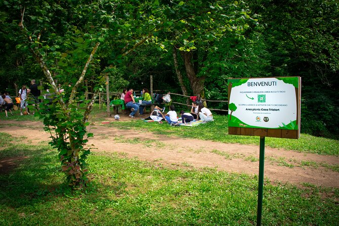 Picnic Area with Barbecue Equipment in Capranica (VT) - Who this works best for (and who should rethink it)