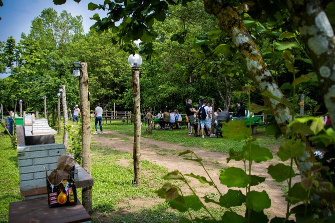 Picnic Area with Barbecue Equipment in Capranica (VT) - The “Via Francigena della Tuscia” stop: a change of scenery