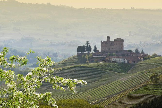 Piedmont Winery Tour: Taste Barolo, Barbaresco & Traditional Food - The Food Pairings That Make the Wines Click