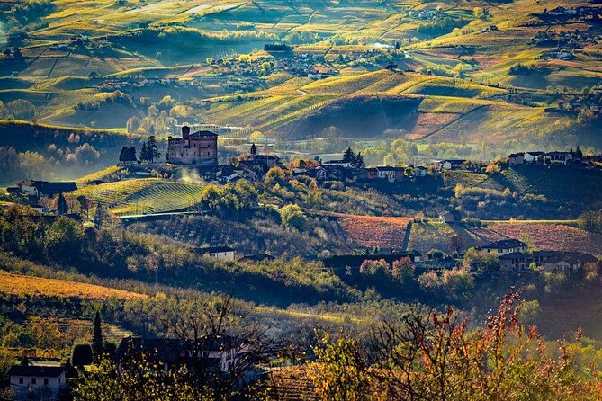 Piedmont Winery Tour: Taste Barolo, Barbaresco & Traditional Food - Olive Oil Included: A Practical Piedmont Bonus