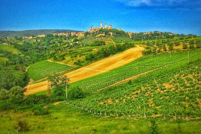 Pisa and Cinque Terre Day Trip from Florence in a Small Group - Small-group pacing: why it can feel smooth or too light