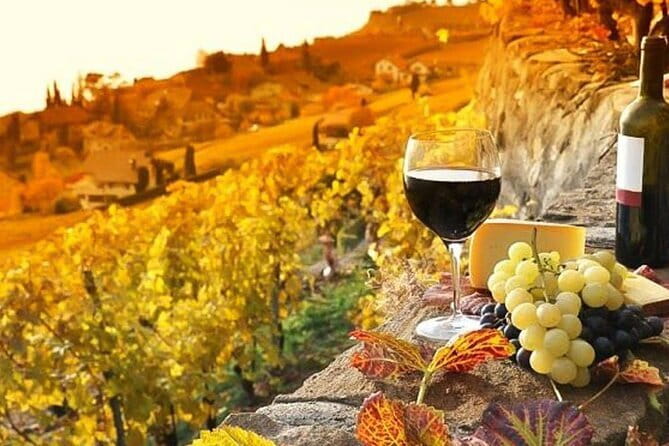 Pisa, Siena and San Gimignano Day Trip with Lunch & Wine Pairing - Should You Book This Pisa Siena San Gimignano Day Trip?