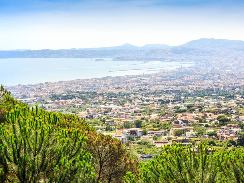 Pompei: Mount Vesuvius and Pompeii with Round-Trip Transfer - What $97.43 buys you, and why it can still be good value