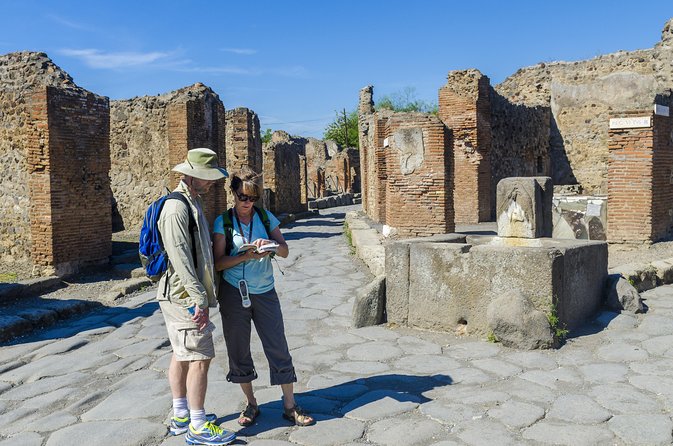 Pompeii 2-hour Private Tour with an Archaeologist-Ticket included - Lupanar: The Famous Brothel Lane Stop