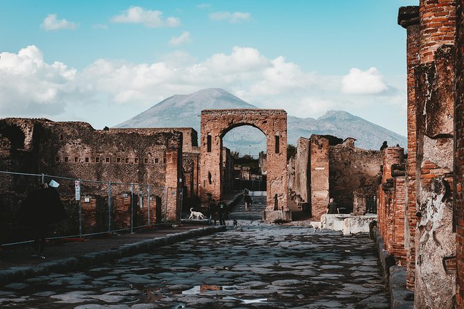 Pompeii: 2 Hour Private Tour with an Archeologist Guide - Who This Private Pompeii Tour Fits Best