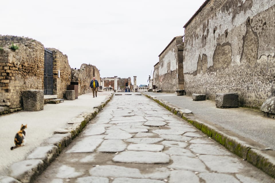 Pompeii: Afternoon to Sunset Guided Tour with Ticket - Thermal Baths: Pompeii’s real-life showpiece for leisure