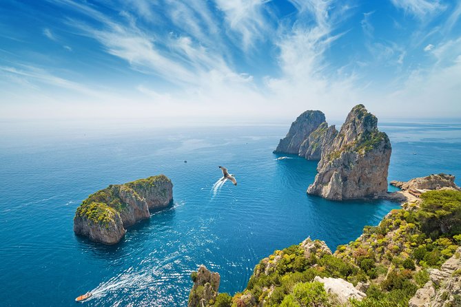 Pompeii and Capri Island Day Trip from Naples - Hydrofoil Ride to Capri: Fast Access to the Island