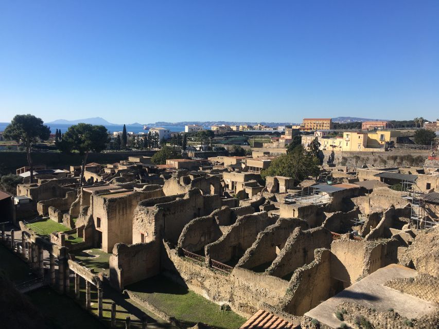 Pompeii and Herculaneum: Guided Tour with an Archaeologist - Herculaneum’s best-preserved interiors: frescos, skeletons, and wood