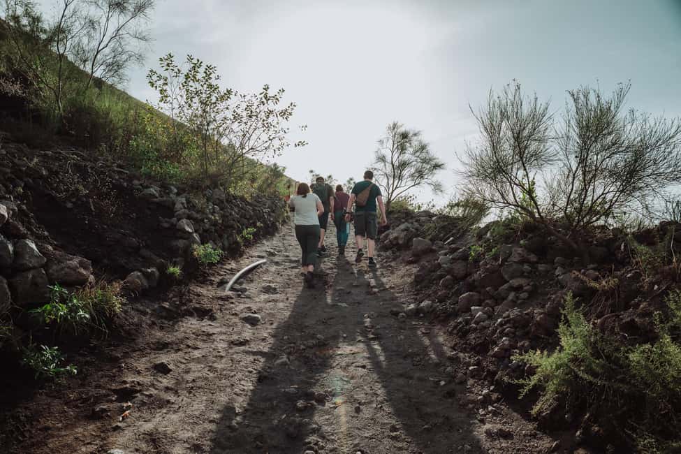 Pompeii and Mount Vesuvius excursion from Naples - Quick takeaways before you go