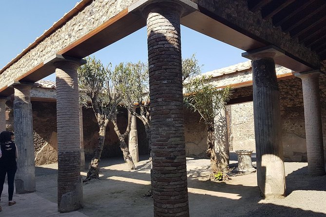 Pompeii and Naples from Rome: Small Group Day Tour with Lunch - How the day stays comfortable in an air-conditioned van