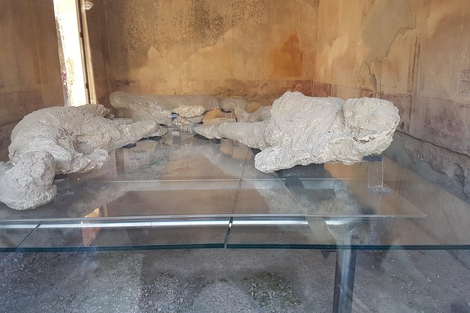 Pompeii and Naples from Rome: Small Group Day Tour with Lunch - Price and value: what $280.82 buys you