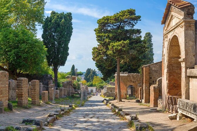 Pompeii and Naples Tour from Rome by Train with Lunch - Naples by Coach and a Guided Highlights Tour (Plus Free Time)