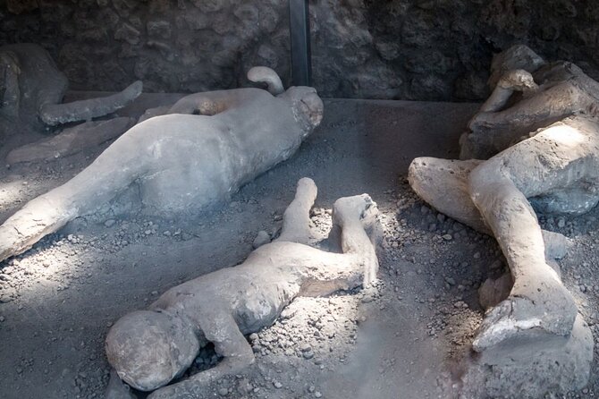 Pompeii and Naples Tour from Rome by Train with Lunch - Who Should Book This Pompeii and Naples Day Trip