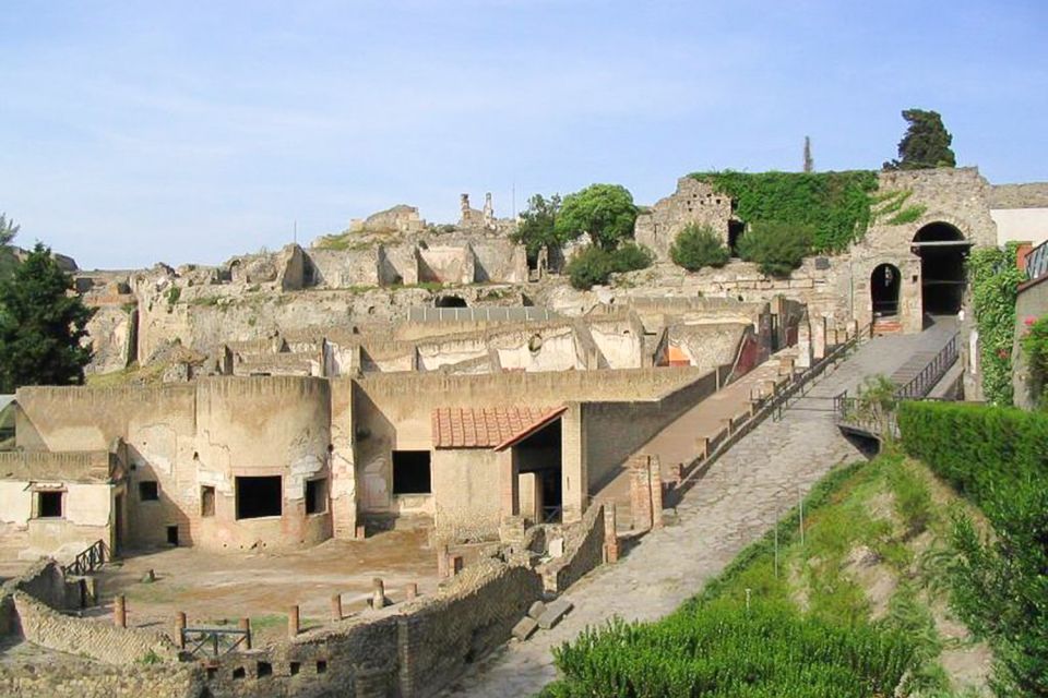 Pompeii and Vesuvius Full-Day Tour from Amalfi Coast - Vesuvius crater walk and summit views: the part with the most sweat