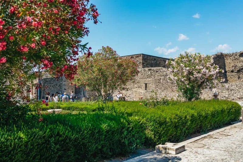 Pompeii: Archaeological Park Tour with Ticket on request - Key Things That Make This Pompeii Tour Worth It