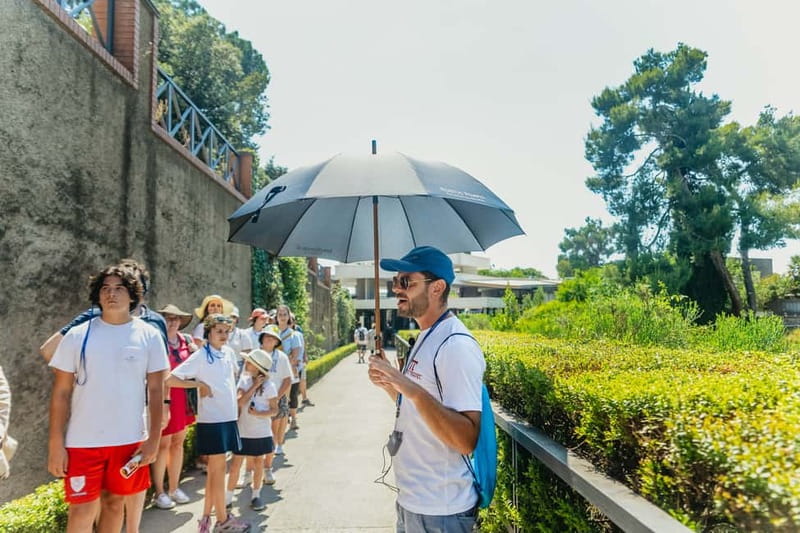 Pompeii: Archaeological Park Tour with Ticket on request - Houses, Frescoes, and Plaster Casts: The Human Side of AD 79