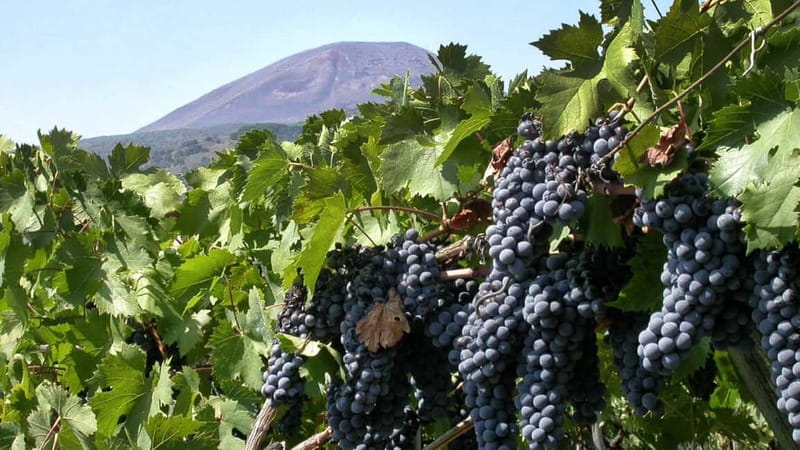 Pompeii: Archeological Tour & Wine Tasting at Mt. Vesuvius - The easy start at Porta Marina Superiore (and why it matters)
