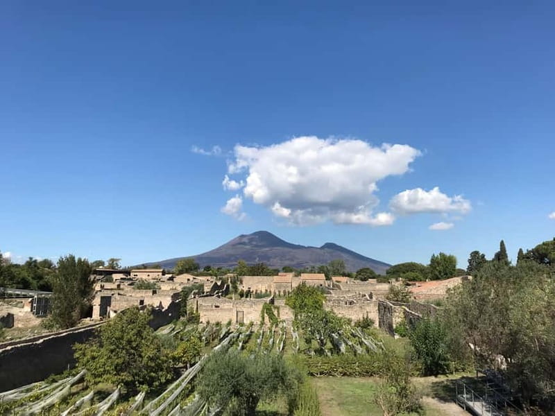 Pompeii: Archeological Tour & Wine Tasting at Mt. Vesuvius - Group pacing: small, focused, and actually manageable