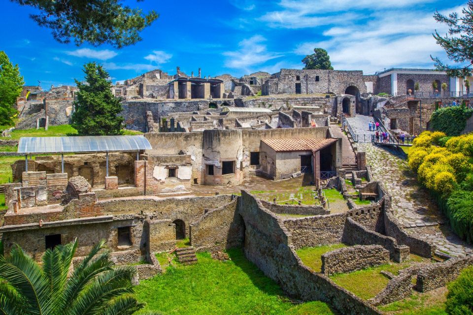 Pompeii: Day Tour of Pompeii and Vesuvius with Bus Transfer - Villa di Misteri and Add-Ons: Check Before You Assume Everything Is Included
