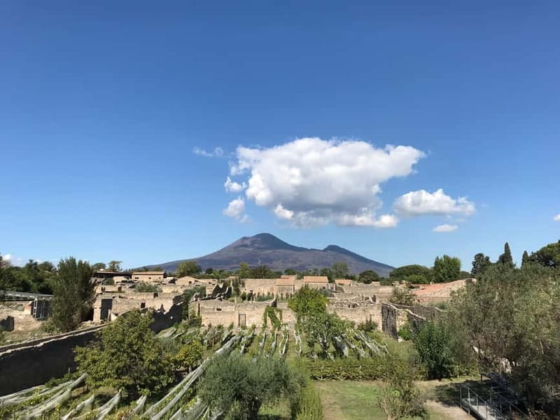 Pompeii: Exclusive Tour with Archaeologist and Entry Tickets - Walking Pompeii’s Civic Core: From Porta Marina to the Forum