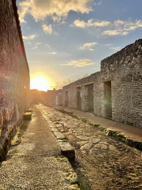 Pompeii: Exclusive Tour with Archaeologist and Entry Tickets - The House of the Vettii and House of the Faun: What to Look For