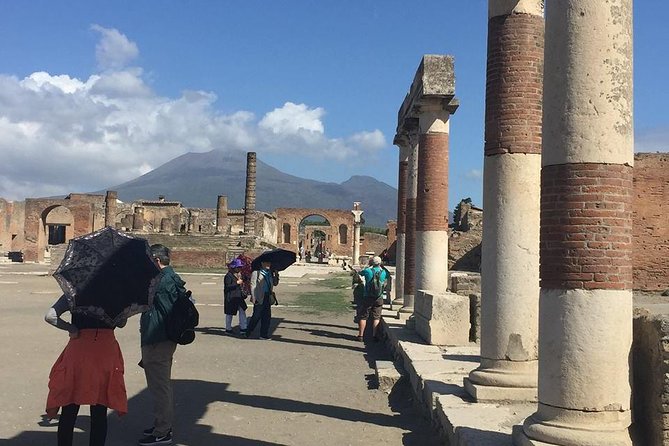 Pompeii Express Guided Tour by Train from Sorrento - Your Two-Hour Pompeii Highlights: Main Areas Plus Famous Houses