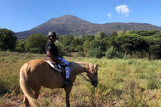 Pompeii Guided Tour & Horse Riding on Vesuvius with Lunch - Pompeii, guided like you actually want it
