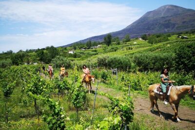 Pompeii Guided Tour & Horse Riding on Vesuvius with Lunch - The Vesuvius ranch transition: lunch first, then horses