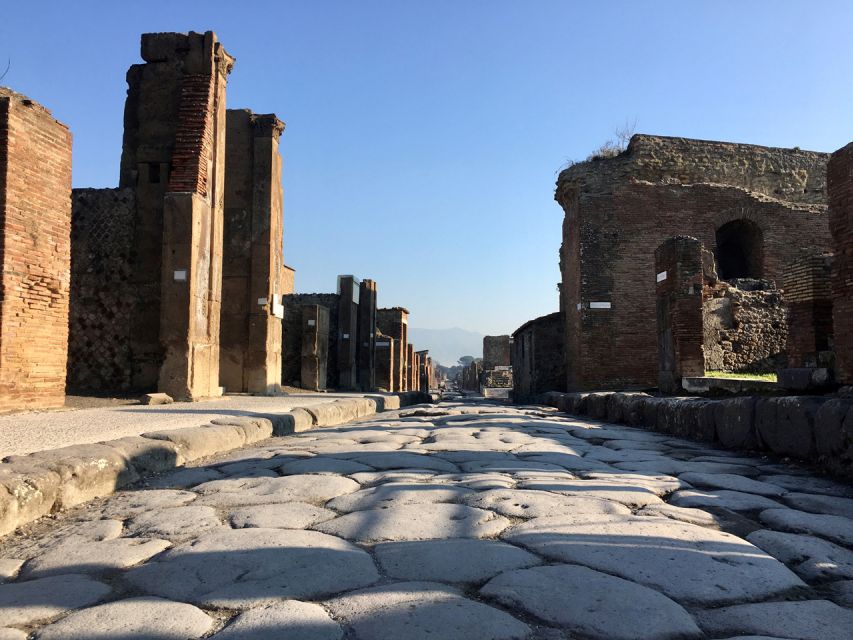 Pompeii: Guided Tour with Archaeologist with max. 12 People - Porta Marina Inferiore to the Theaters: Reading an Original Roman Road
