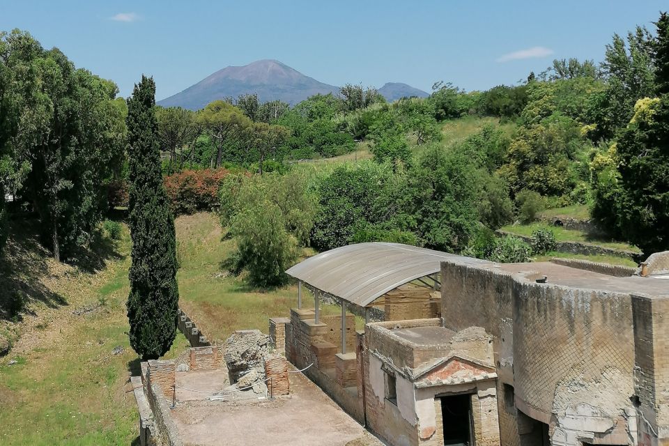 Pompeii: Guided Tour with Archaeologist with max. 12 People - Macellum and Basilica: How Romans Bought and Conducted Business