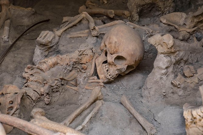 Pompeii, Herculaneum and Winery on Vesuvius with an Archaeologist - Herculaneum Villas, Mosaics, and the Luxury of Everyday Life