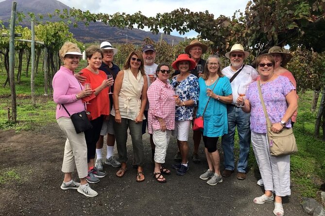 Pompeii, Herculaneum and Winery on Vesuvius with an Archaeologist - Price, Tickets, and Timing: What You’re Really Paying For