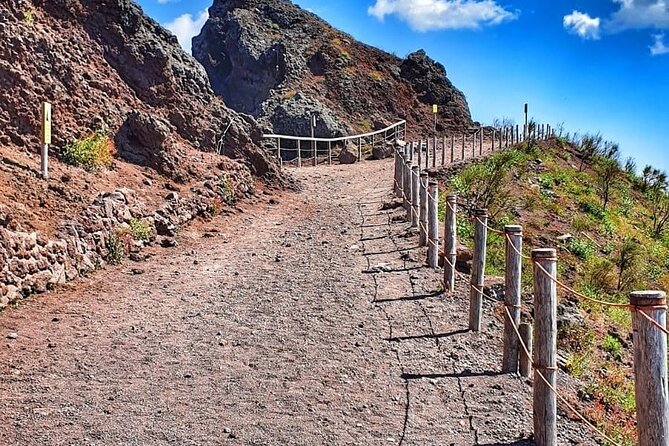 Pompeii & Mount Vesuvius Tour with Guided Visit, Tickets & Lunch - A 9-hour rhythm from Sorrento that keeps Pompeii and Vesuvius connected