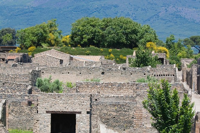Pompeii Ruins Half-Day Tour from Sorrento with Guide - Price and value: what you’re really paying for