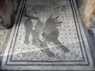 Pompeii: Skip-the-Line Entry & Audioguide - Getting There: The IBT Center/Touristation Meeting Point