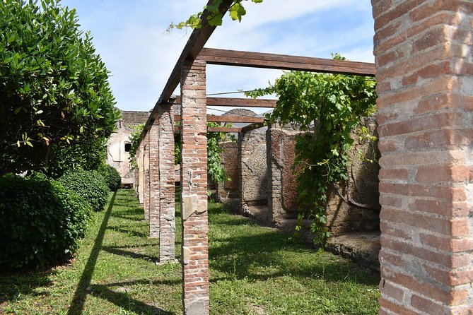 Pompeii Skip-the-line Tour with Archaeologist Guide - Forum, civic life, and the heart of a Roman city
