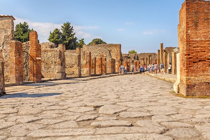 Pompeii Ticket + Tour with Optional Tasting Experience at Pompeii - Inside the Park: Frescoed Villas, the Forum, and What to Look For