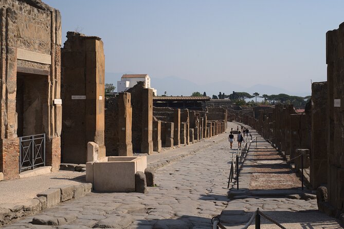 Pompeii Tour & Lunch with Wine Tasting Experience - Smart Tips to Make Your Day Smoother
