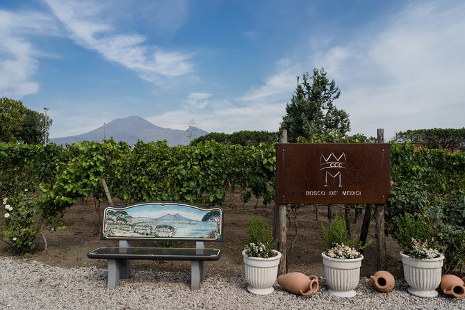 Pompeii Vineyard Escape: Private Wine Tasting & Lunch - Pompeii Vineyard Escape: a wine day that feels like a real plan