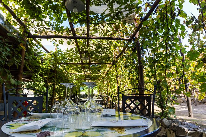 Pompeii Vineyard Escape: Private Wine Tasting & Lunch - Service at Bosco de Medici: what the staff gets right