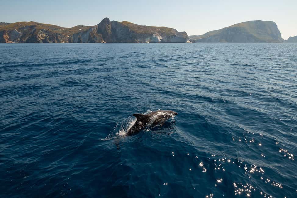 Ponza: Palmarola & Ponza Island Cruise with Swimming & Lunch - Crossing to Palmarola: The 40-Minute Jump That Sets the Mood
