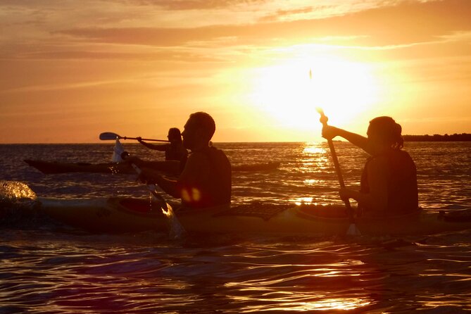 Porto Selvaggio kayak tour + cliff diving + cold spring immersion - Key highlights you should care about