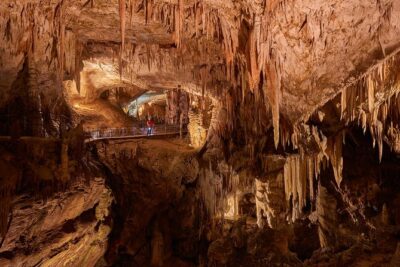 Postojna Cave & Predjama Castle from Trieste - Trieste pickup and the half-day timing you should plan for