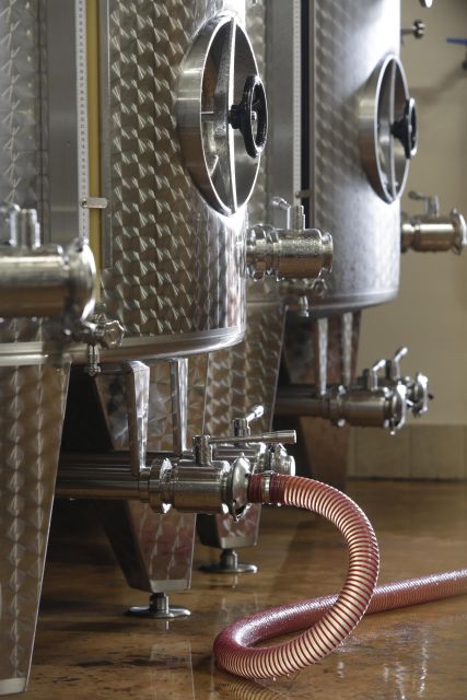 Pramaggiore: Ornella Bellia Winery Guided Tour & Tasting - The 2-Hour Route: Vineyards to Bottling Room to Tasting