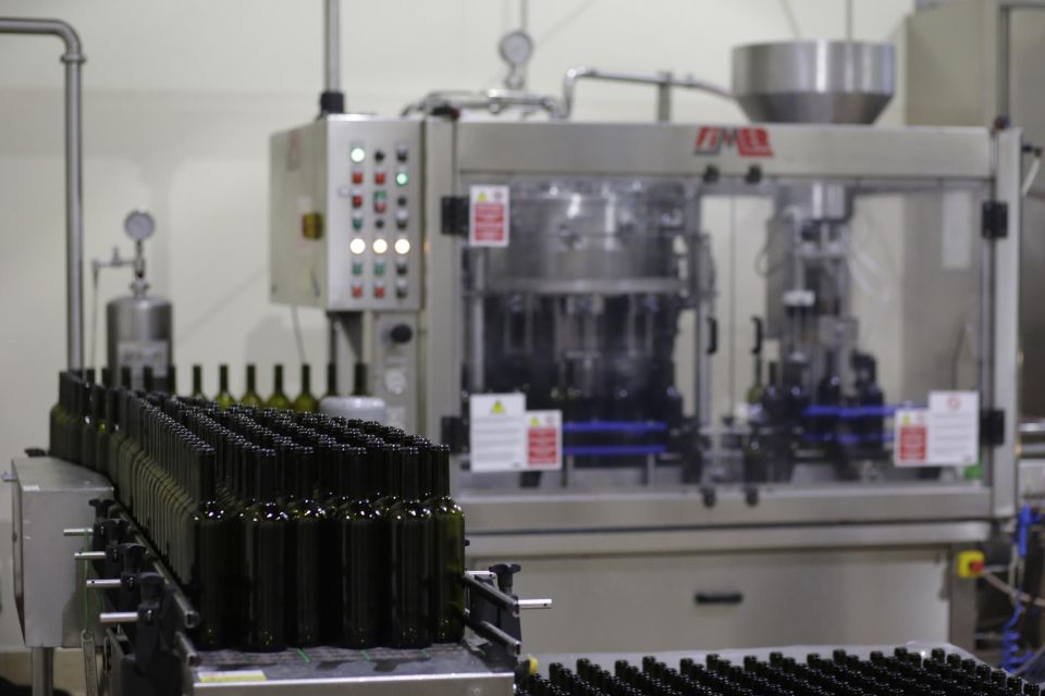 Pramaggiore: Ornella Bellia Winery Guided Tour & Tasting - Tastings That Pair Wine With the Region’s Real Food