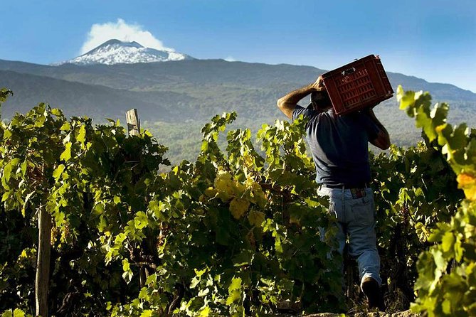 Private 6-Hour Tour of Three Etna Wineries with food&wine tasting - How the day flows: three stops, one continuous rhythm