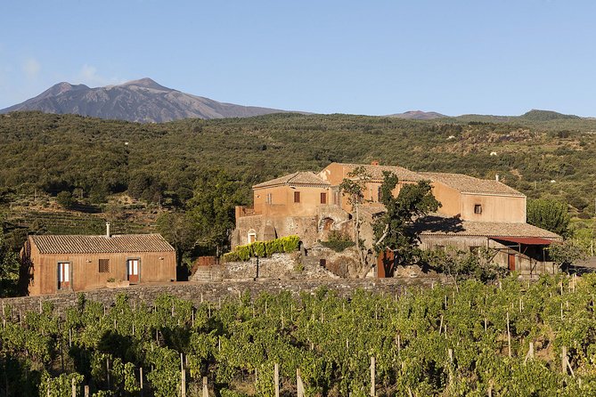 Private 6-Hour Tour of Three Etna Wineries with food&wine tasting - Stop 1: first tasting with Etna DOC wines and simple, local bites