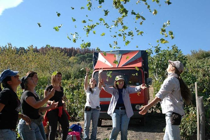 Private 6-Hour Tour of Three Etna Wineries with food&wine tasting - Stop 3: fresh appetizers, olive oil, and the final red-and-white tasting