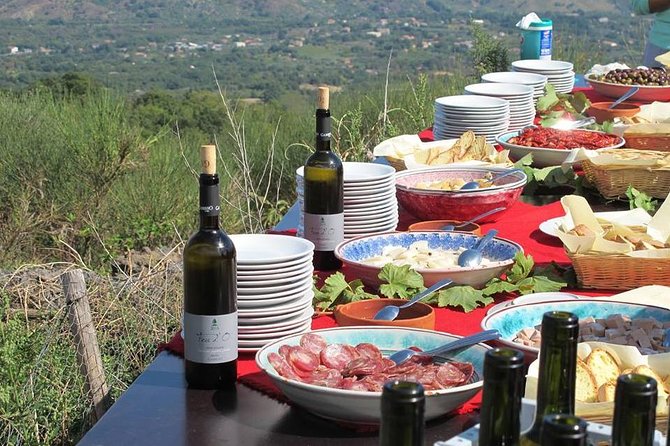 Private 6-Hour Tour of Three Etna Wineries with food&wine tasting - What makes the guides matter on this tour
