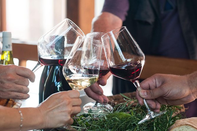 Private 6-Hour Tour of Three Etna Wineries with food&wine tasting - Food-and-wine pacing: how not to leave with wine regret